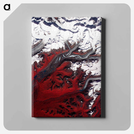 アートパネル-Glacial Tributaries
 - 上空からの地球 Canvas.