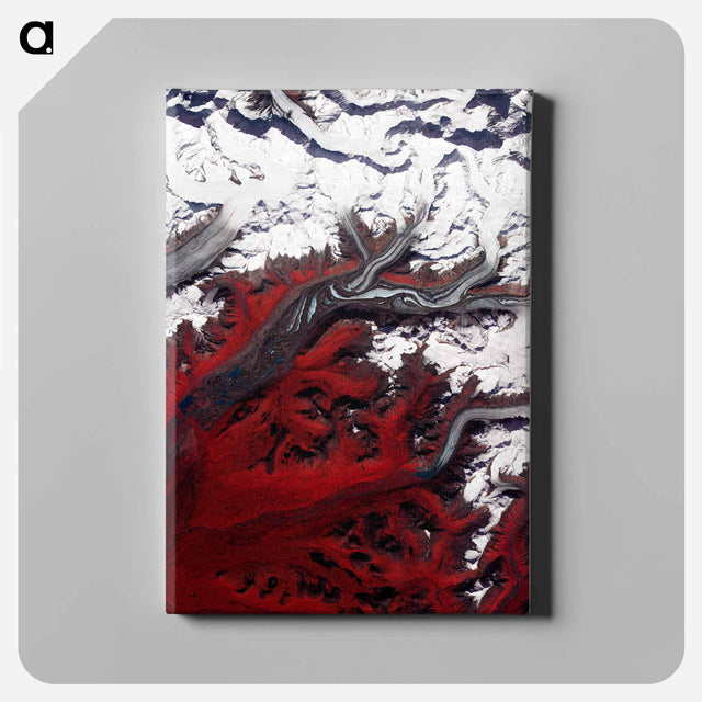 アートパネル-Glacial Tributaries
 - 上空からの地球 Canvas.