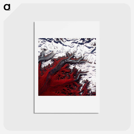 アートポストカード-Glacial Tributaries
 - 上空からの地球 Postcard.