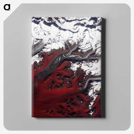 1-16_Earth-from-Above_canvas