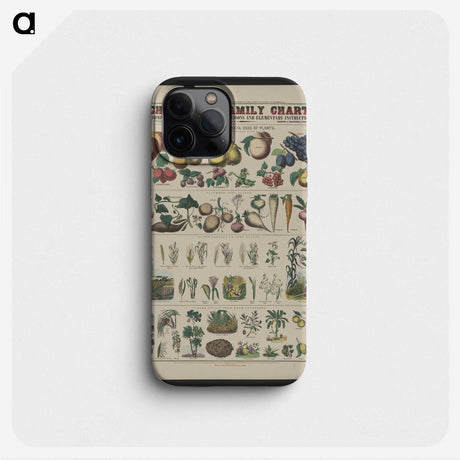 1-16_Education-Charts_phone