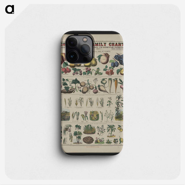 1-16_Education-Charts_phone