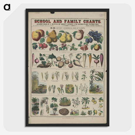 1-16_Education-Charts_picture-crop