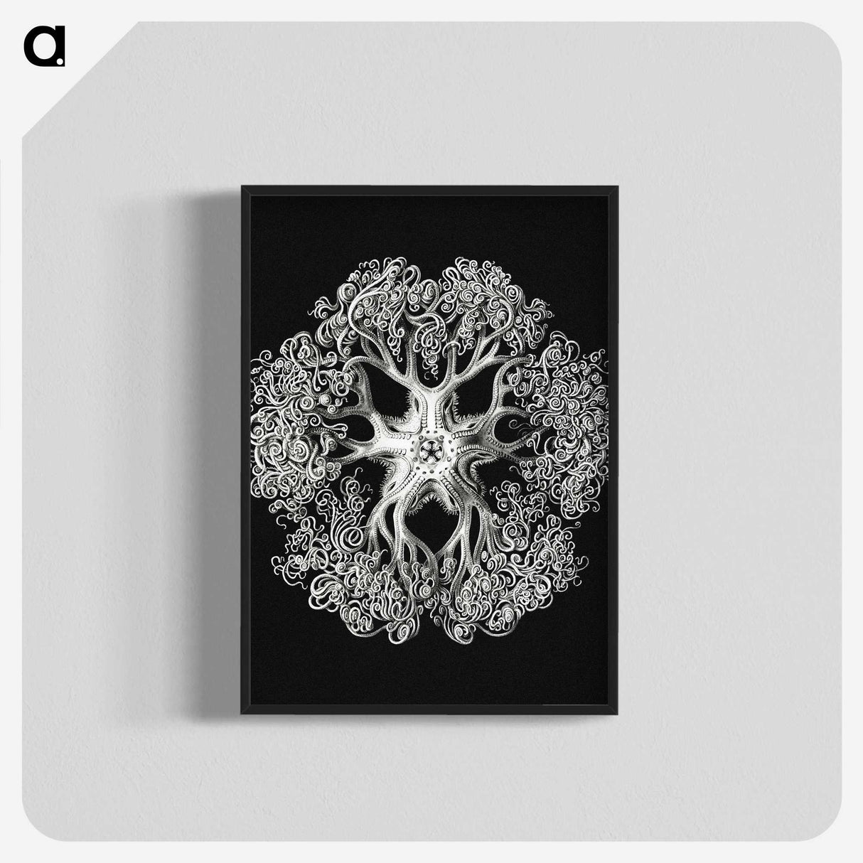 1-16_Ernst-Haeckel_blk-crop