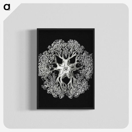 1-16_Ernst-Haeckel_blk-crop