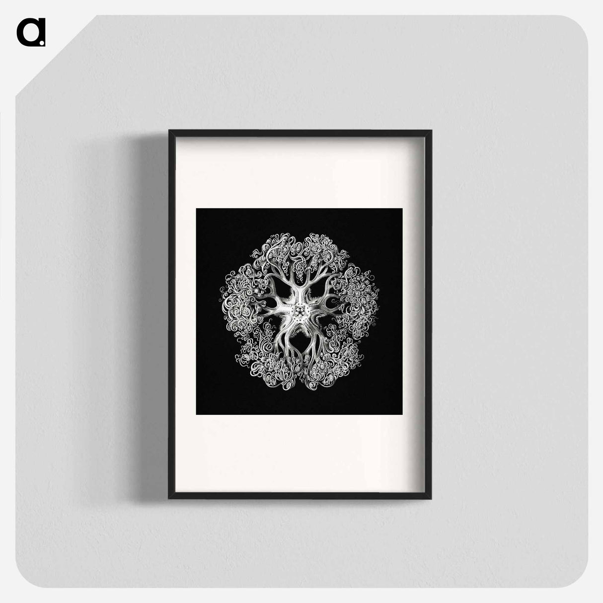 Vintage brittle star illustration - エルンスト ヘッケル Poster.