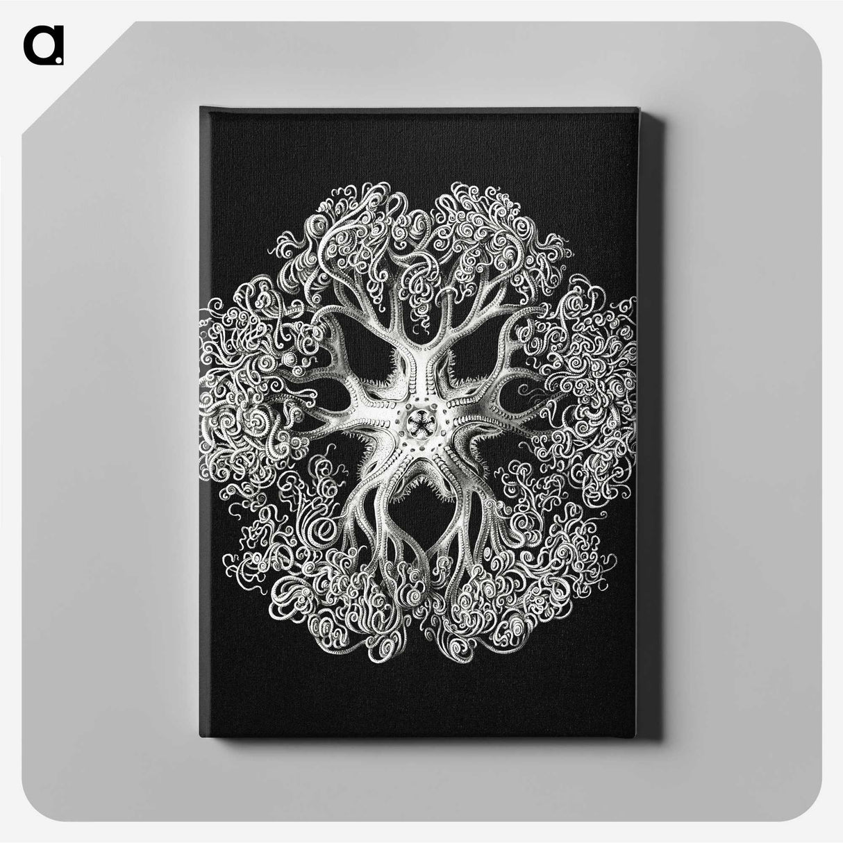 1-16_Ernst-Haeckel_canvas