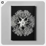1-16_Ernst-Haeckel_canvas
