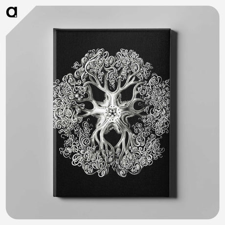 1-16_Ernst-Haeckel_canvas