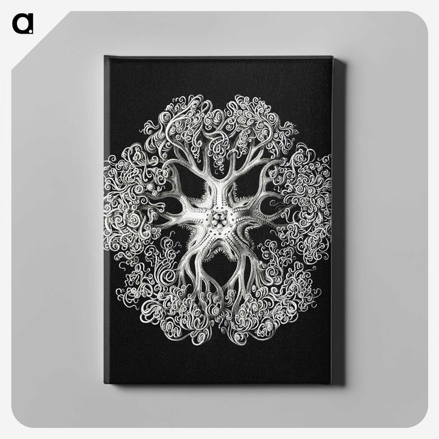1-16_Ernst-Haeckel_canvas