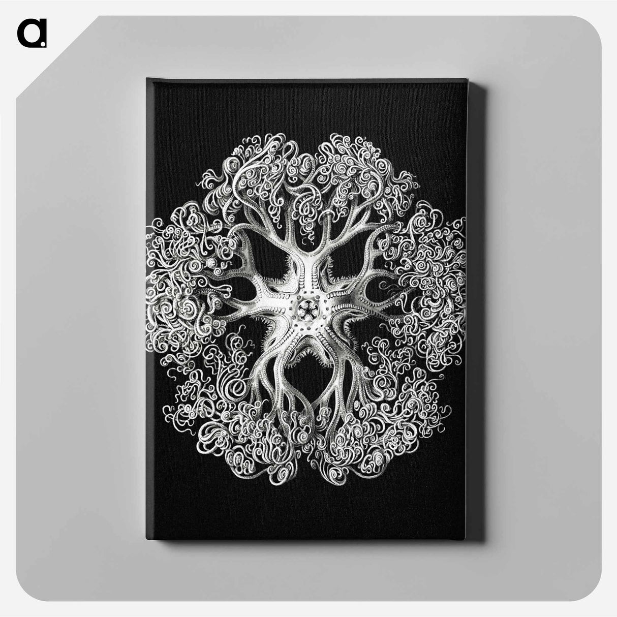 Vintage brittle star illustration - エルンスト ヘッケル Canvas.
