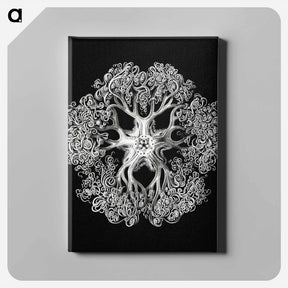 アートパネル-Vintage brittle star illustration - エルンスト ヘッケル Canvas.
