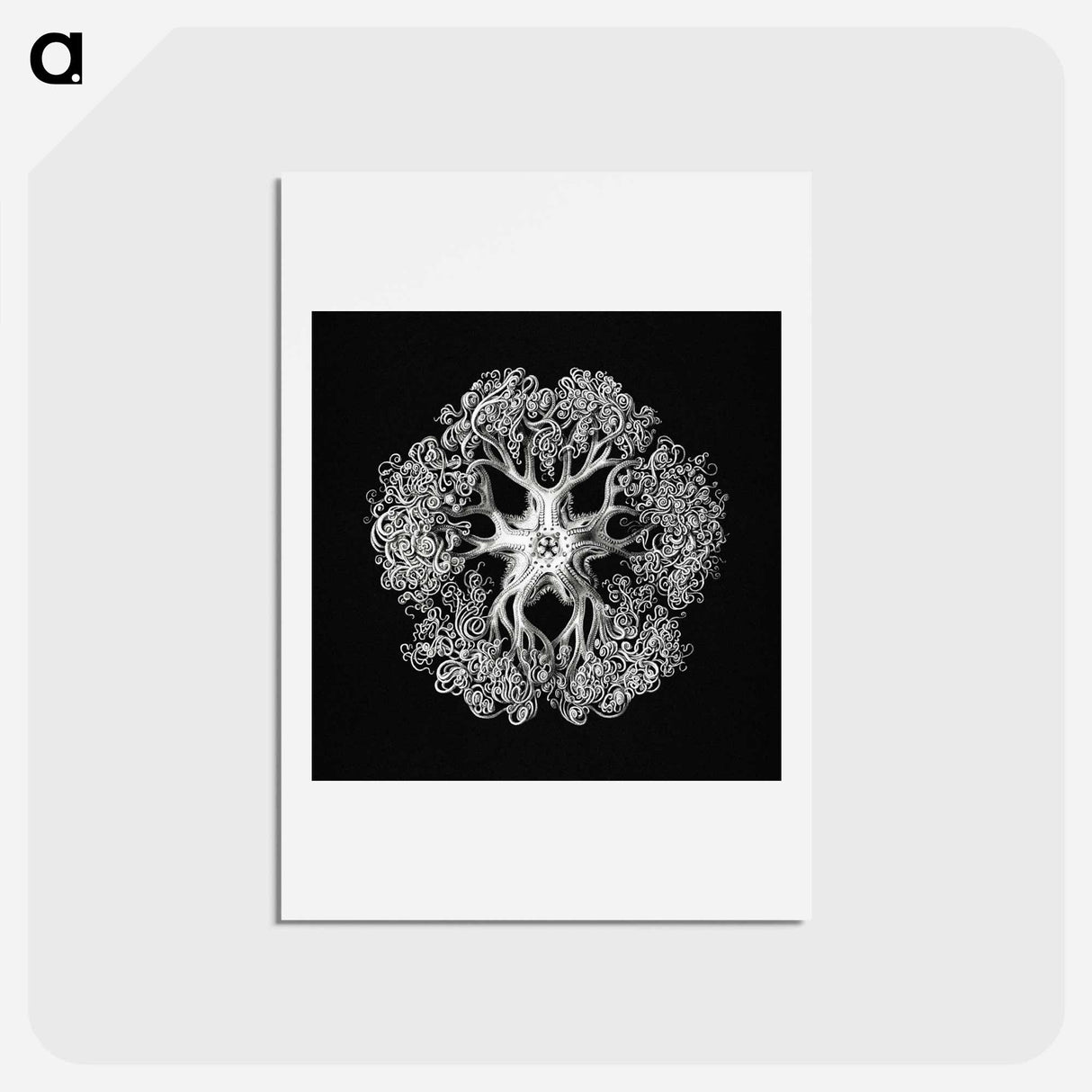 アートポストカード-Vintage brittle star illustration - エルンスト ヘッケル Postcard.