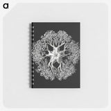 1-16_Ernst-Haeckel_memo