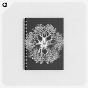 1-16_Ernst-Haeckel_memo