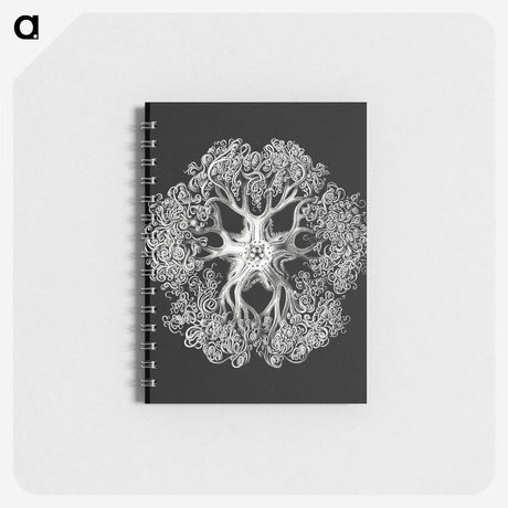 1-16_Ernst-Haeckel_memo