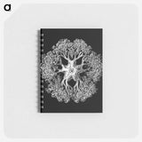 アートメモ帳-Vintage brittle star illustration - エルンスト ヘッケル Memo.