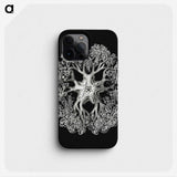 1-16_Ernst-Haeckel_phone
