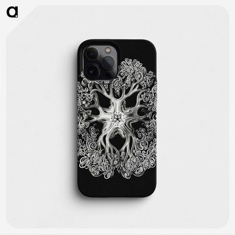1-16_Ernst-Haeckel_phone