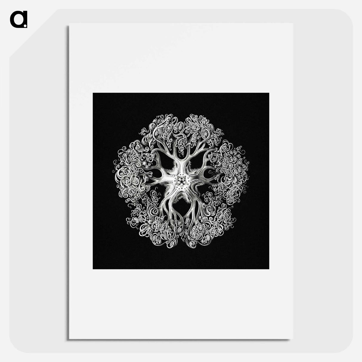 Vintage brittle star illustration - エルンスト ヘッケル Poster.