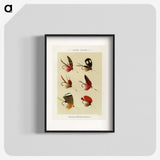 1-16_Favorite-Flies-and-Their-History_blk