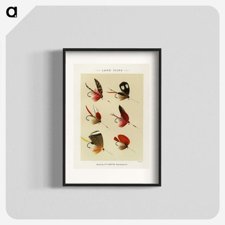 1-16_Favorite-Flies-and-Their-History_blk