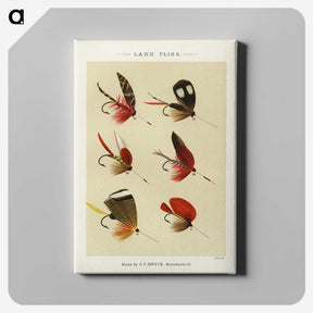 1-16_Favorite-Flies-and-Their-History_canvas