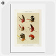 1-16_Favorite-Flies-and-Their-History_picture