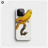 1-16_Francois-Levaillant_phone
