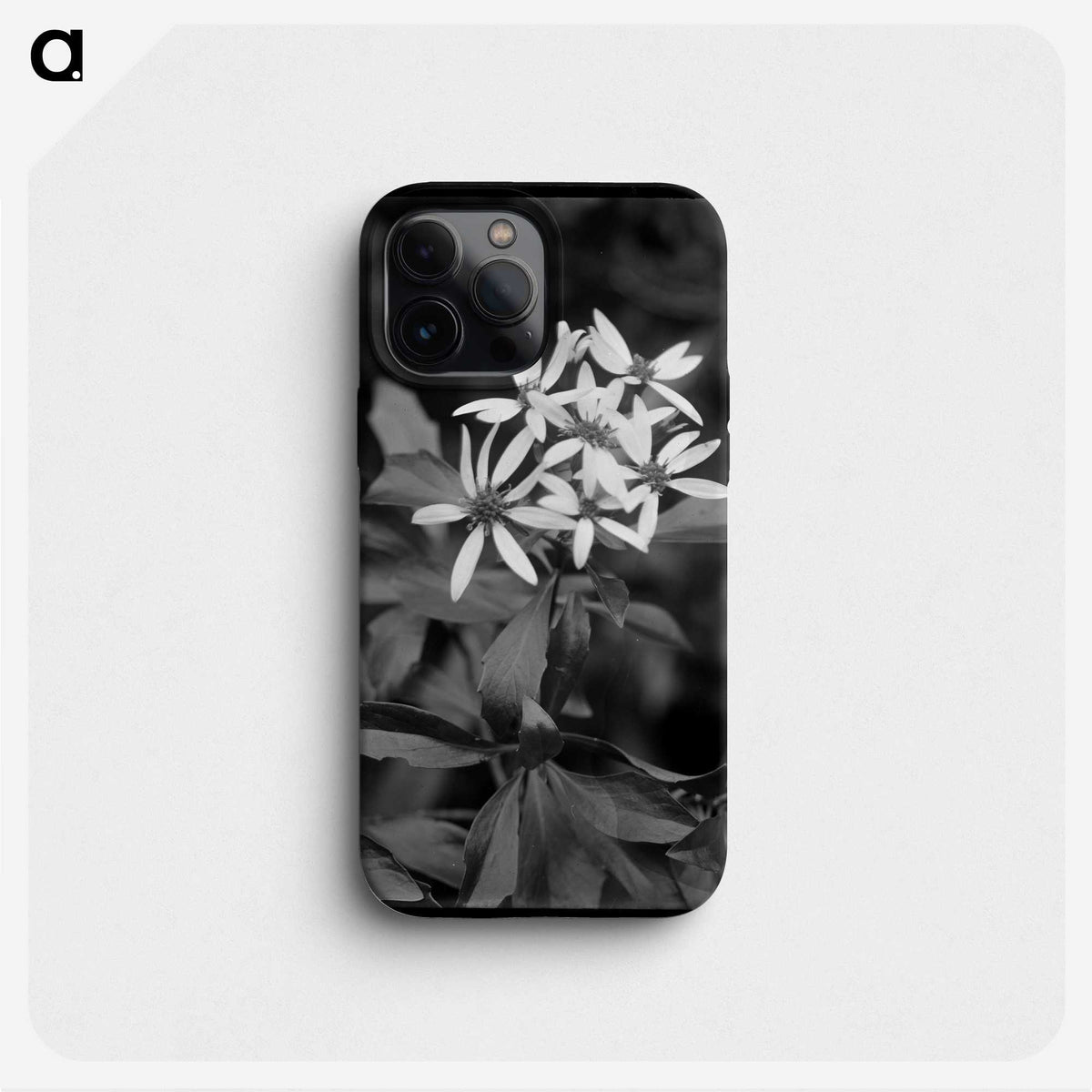 1-16_Frederick-Charles-Brockett_phone