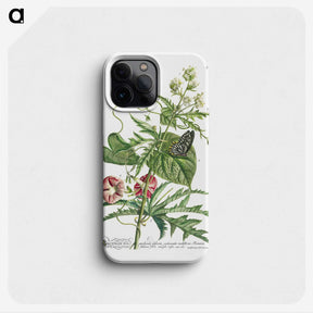 1-16_Georg-Dionysius-Ehret_phone