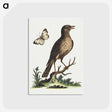 1-16_George-Edwards_postcard