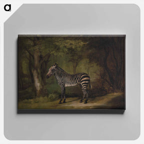 アートパネル-Zebra
 - ジョージ スタッブス Canvas.