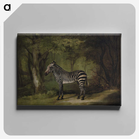 1-16_George-Stubbs_canvas