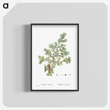 1-16_Histoire-des-Plantes-Grasses_blk-crop