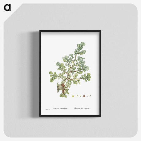 1-16_Histoire-des-Plantes-Grasses_blk-crop