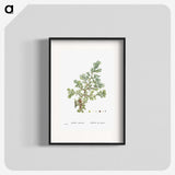 1-16_Histoire-des-Plantes-Grasses_blk