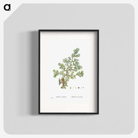 1-16_Histoire-des-Plantes-Grasses_blk
