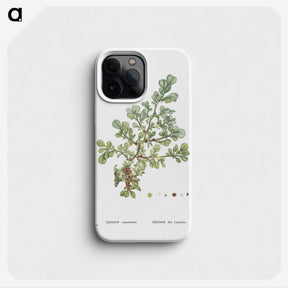 1-16_Histoire-des-Plantes-Grasses_phone