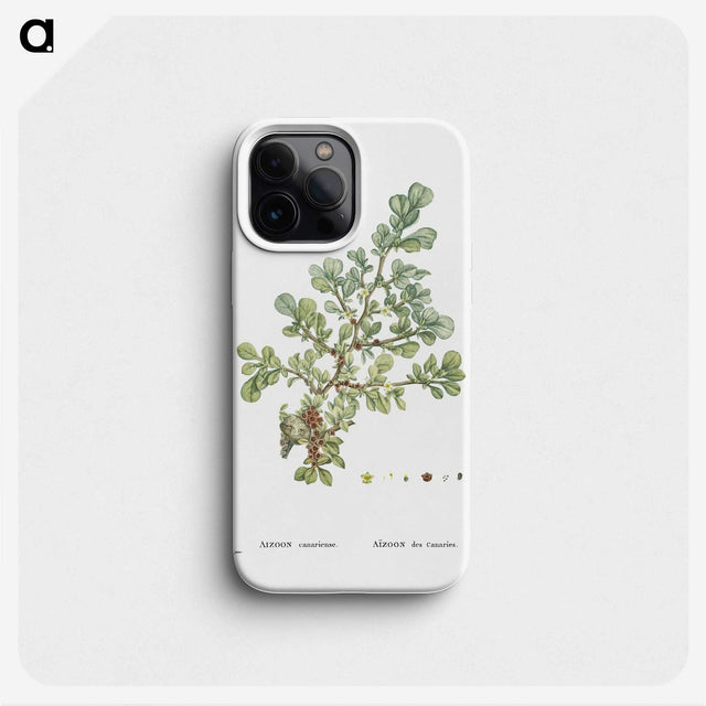 1-16_Histoire-des-Plantes-Grasses_phone