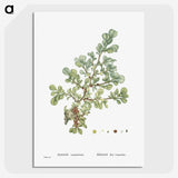 1-16_Histoire-des-Plantes-Grasses_picture-crop