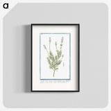 1-16_Hortus-Romanus-Botanical-Plates_blk