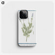 1-16_Hortus-Romanus-Botanical-Plates_phone