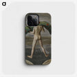 1-16_Hugo-Simberg_phone