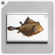 1-16_Ichtyologie-ou-Histoire-naturelle_canvas