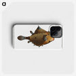 1-16_Ichtyologie-ou-Histoire-naturelle_phone