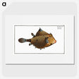 1-16_Ichtyologie-ou-Histoire-naturelle_picture