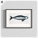 1-16_Indian-Zoology_blk