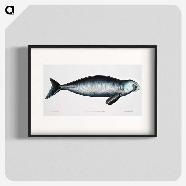 1-16_Indian-Zoology_blk
