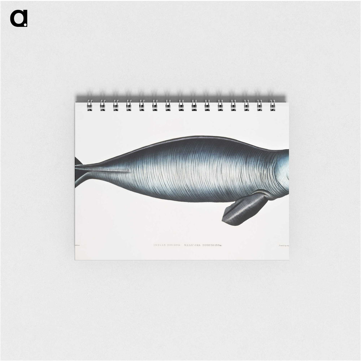 1-16_Indian-Zoology_memo